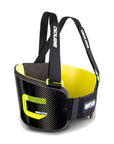 Bengio Carbon Rib Protector