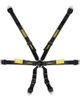 Schroth Enduro 2x2 Harness