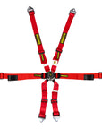 Schroth Enduro 2x2 Harness