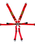 Schroth 2028 Enduro 3x2 Harness