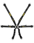 Schroth Flexi 2x2 Harness
