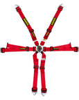 Schroth Flexi 2x2 Harness