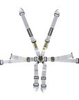 Schroth Flexi 2x2 Harness