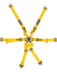 Schroth Flexi 2x2 Harness