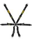 Schroth GT3 Profi 2x2 Harness