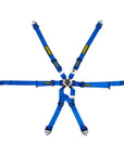 Schroth GT3 Profi 2x2 Harness