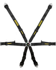 Schroth Profi 2x2 Harness