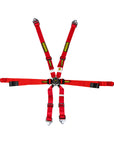 Schroth GT3 Profi 2x2 Harness