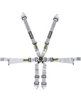 Schroth GT3 Profi 2x2 Harness
