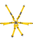 Schroth GT3 Profi 2x2 Harness