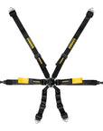 Schroth GT3 Enduro 2x2 Harness
