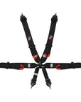 G-Force FIA 3 Harness - Saferacer