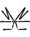 G-Force FIA 2 Harness