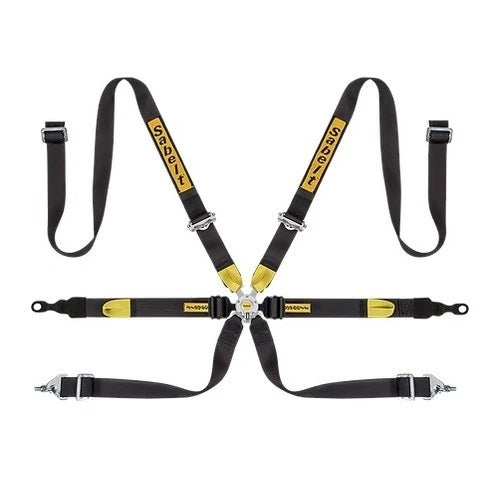 Racing Harnesses