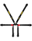 Schroth Formula 2x2 Harness