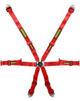 Schroth Profi 2x2 Harness