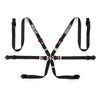 Sparco Endurance 2 Harness